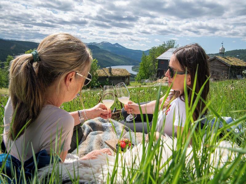 Skã¥bu Fjellhotell image
