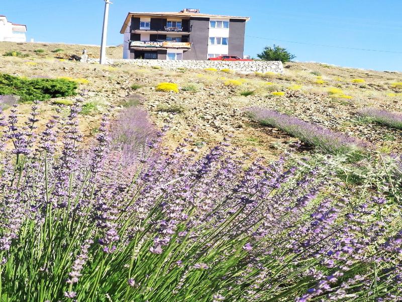 Salda Lake White Islands Apartments