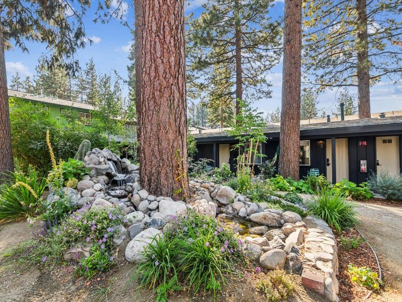 South Lake Chalet image