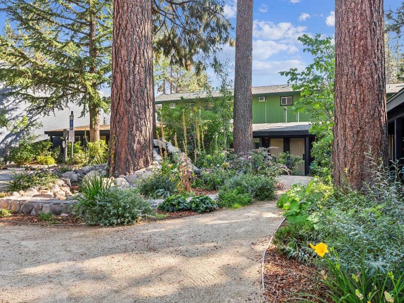 South Lake Chalet image