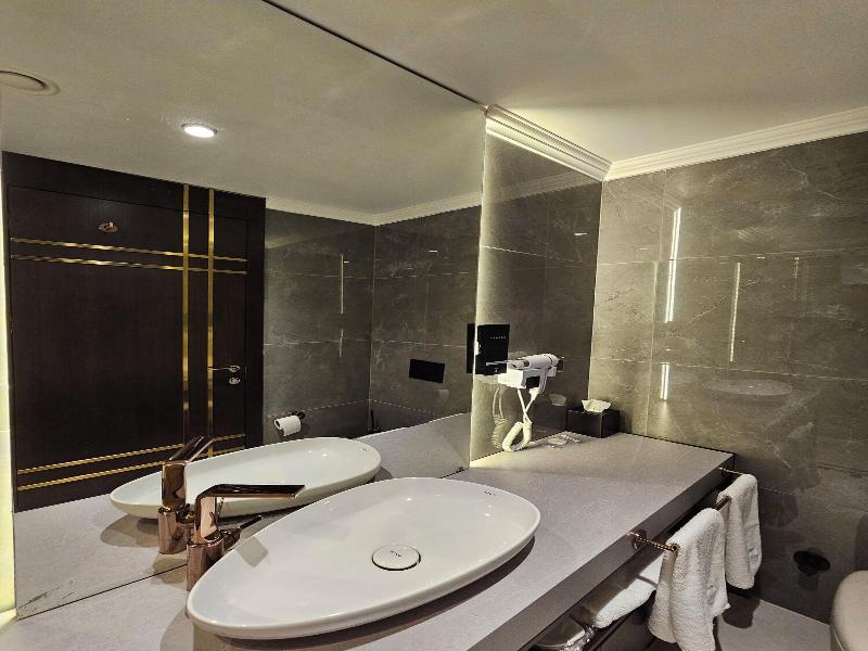 Asur Imperial Hotel image
