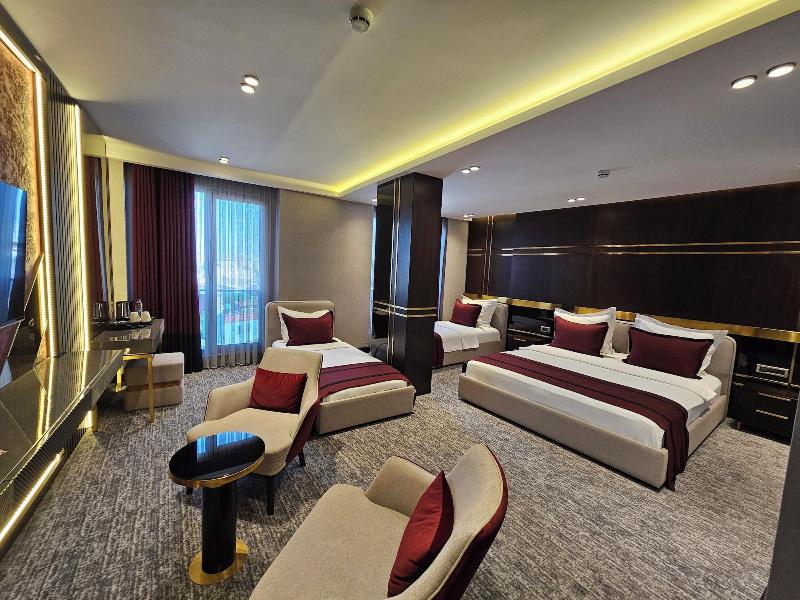 Asur Imperial Hotel image