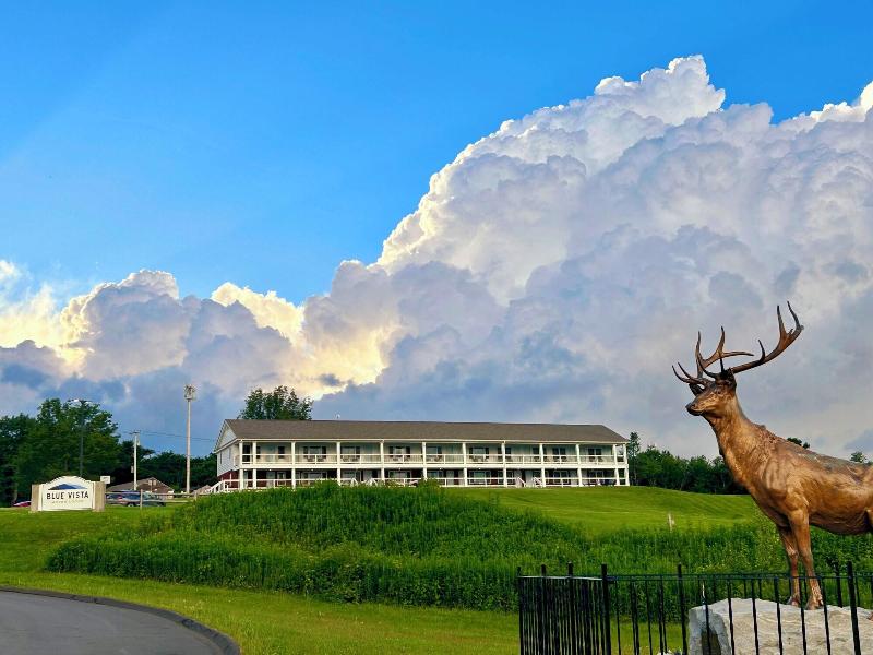 Blue Vista Motor Lodge image