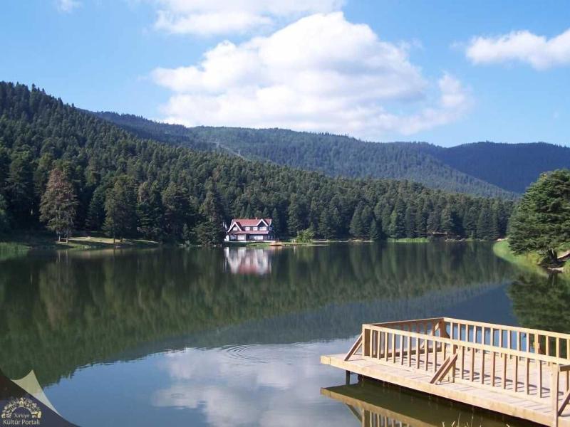 Elit Palace