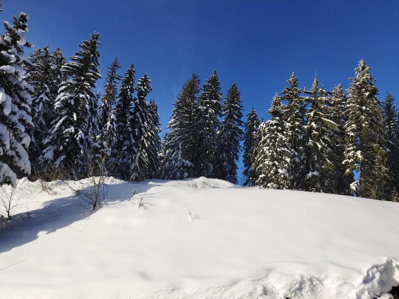 Nomad Alp B&b image