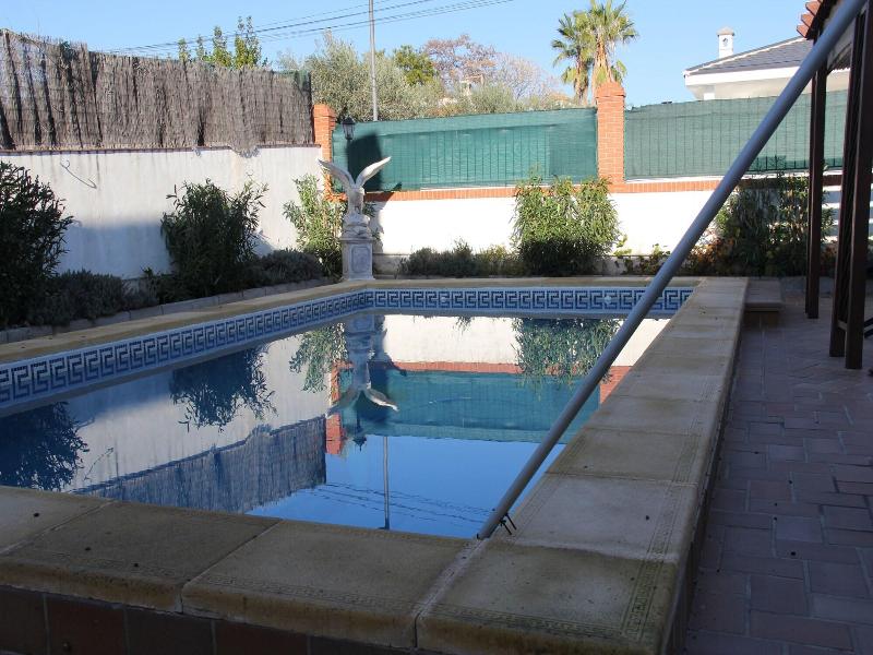 Studio Tropical image