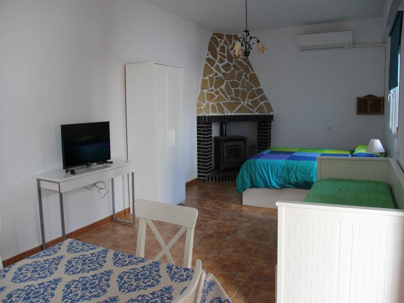Studio Tropical image
