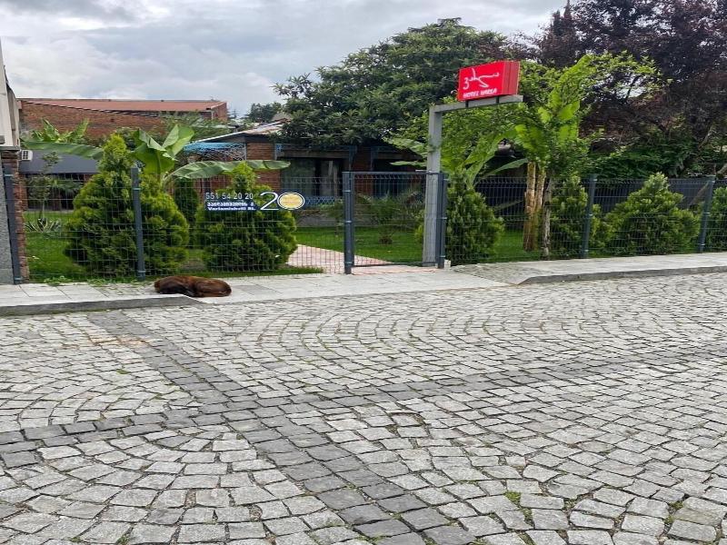 Hotel Varla image