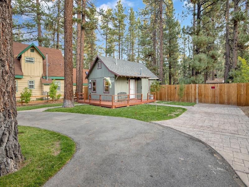 Beary Cozy Cabin #2315 image