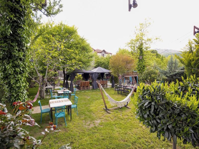 Hedi image