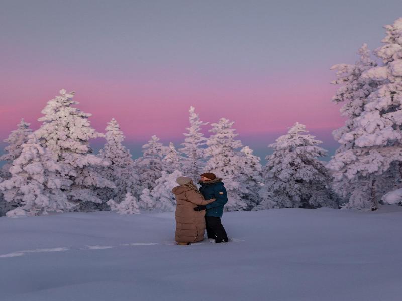 Skyview Igloo Resort image
