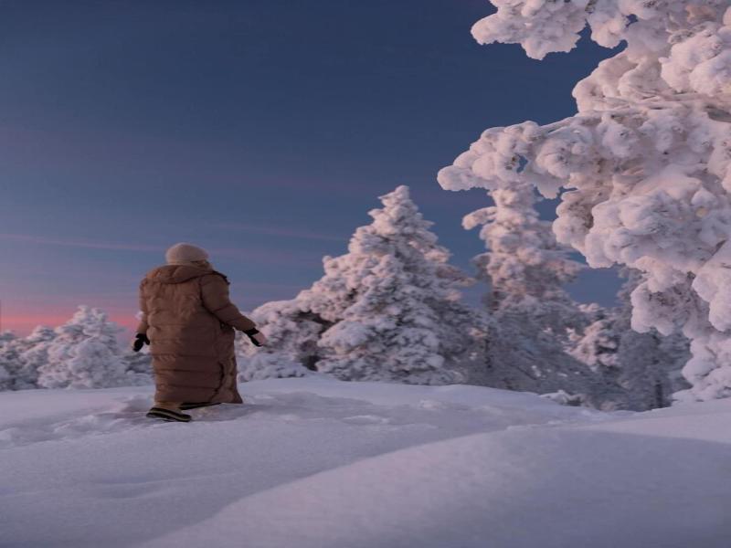 Skyview Igloo Resort image