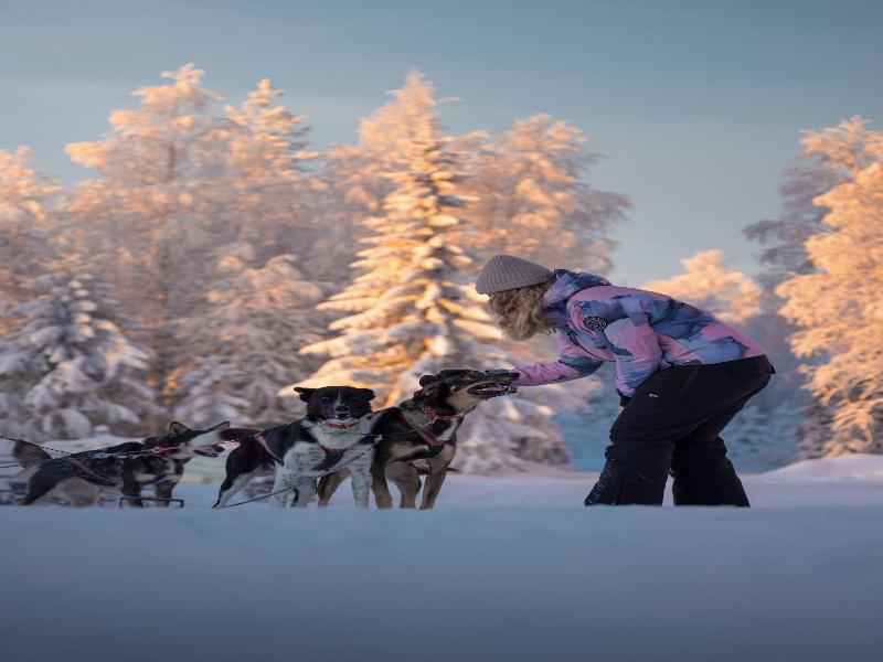 Skyview Igloo Resort image