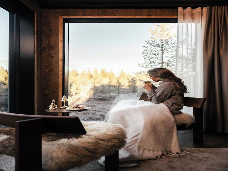 Skyview Igloo Resort image