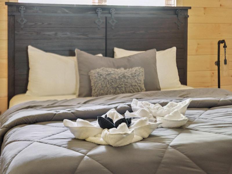 Creekside Manor 3 Bedroom Cabin By Redawning — photo 12