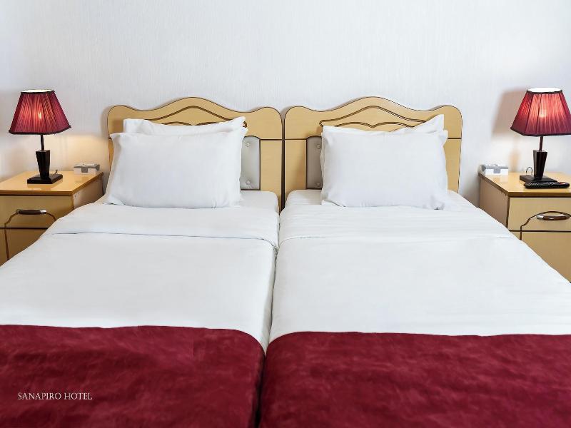Hotel Sanapiro image