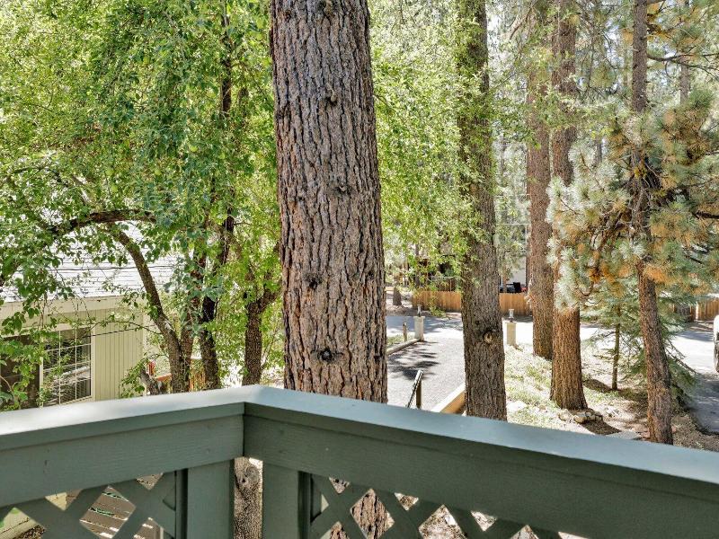 Green Canoe Cabin #2293 image
