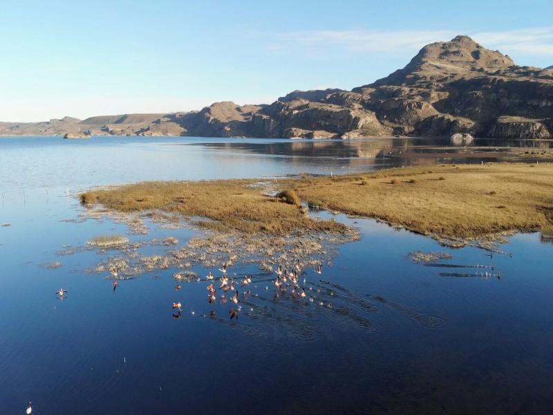 Patagonia Bordelago