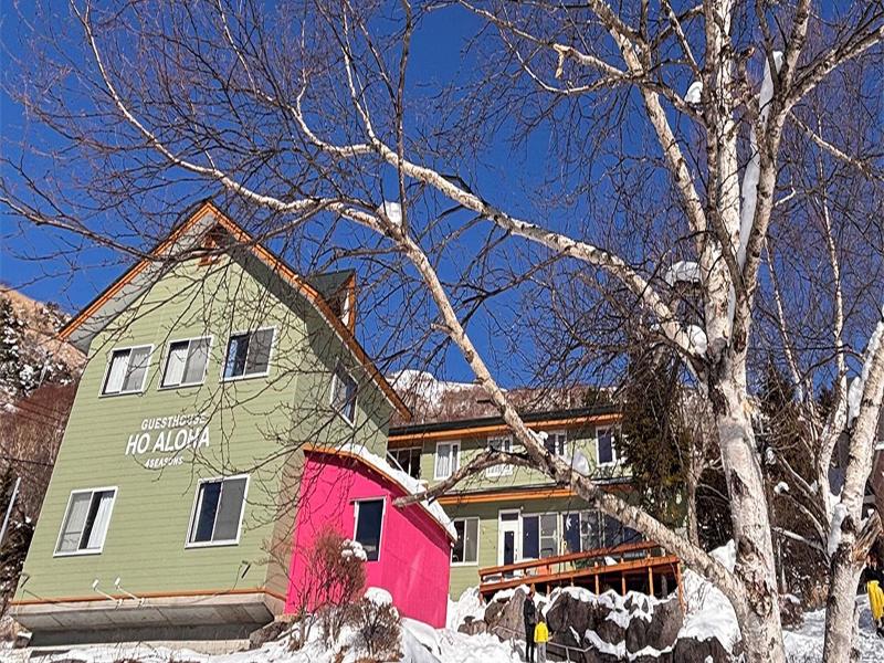 Guesthouse Hoaloha 4 Seasons image
