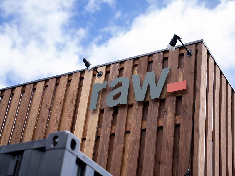 Raw_ image