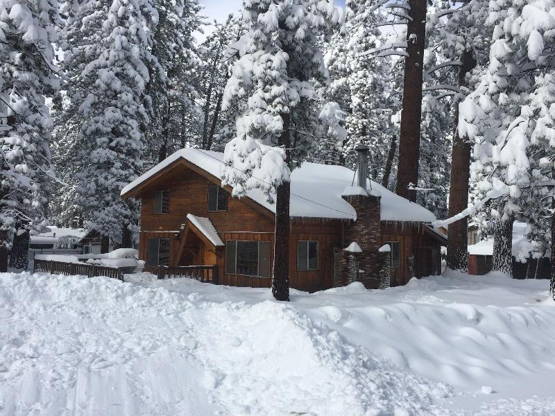 Paradise In Cedar #2095 image