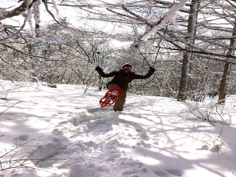 Joshinâ€™etsukogen National Park Hotel Fujiya image