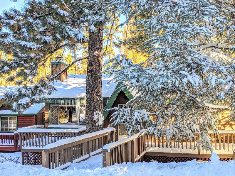 Sunny Bear Cabin #1970 image