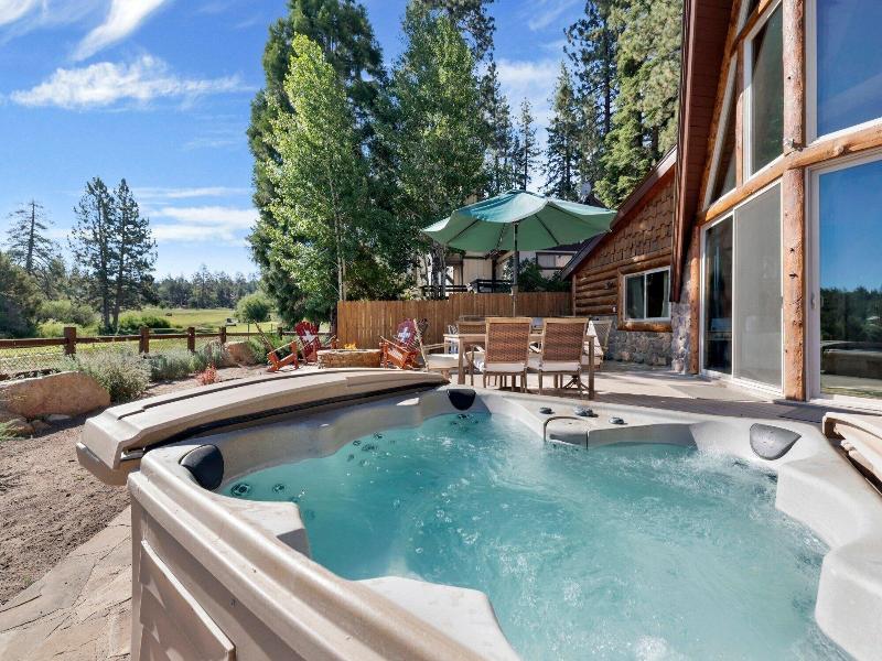 Big Bear Den #2152 image