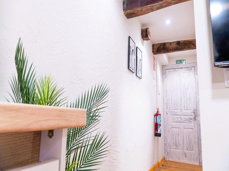 Apartamentos Carolina By Gaiarooms image