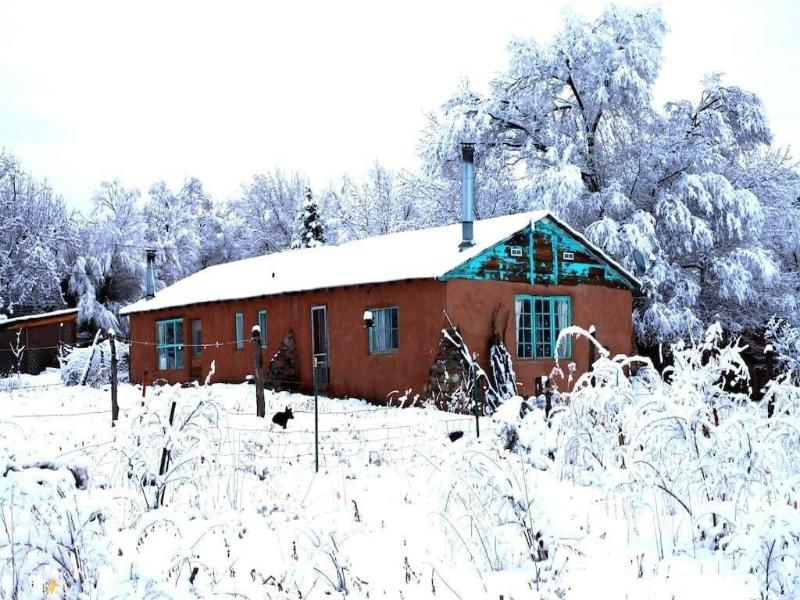Taos Goji Farm & Eco-lodge Retreat