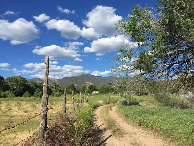 Taos Goji Farm & Eco-lodge Retreat