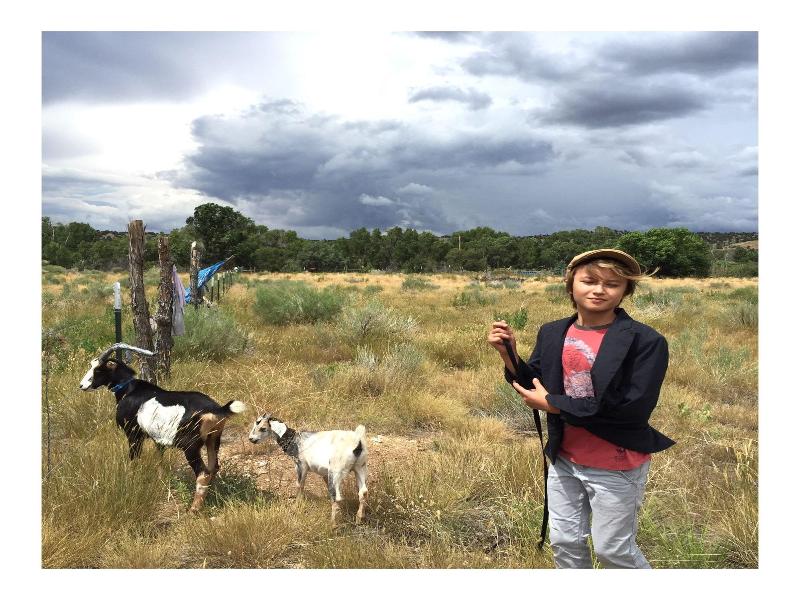 Taos Goji Farm & Eco-lodge Retreat