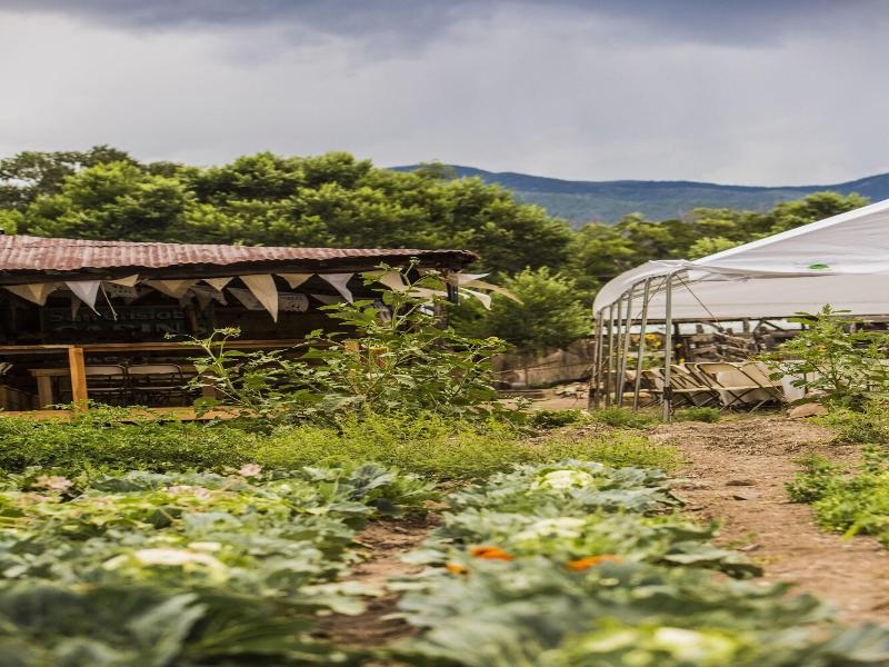 Taos Goji Farm & Eco-lodge Retreat