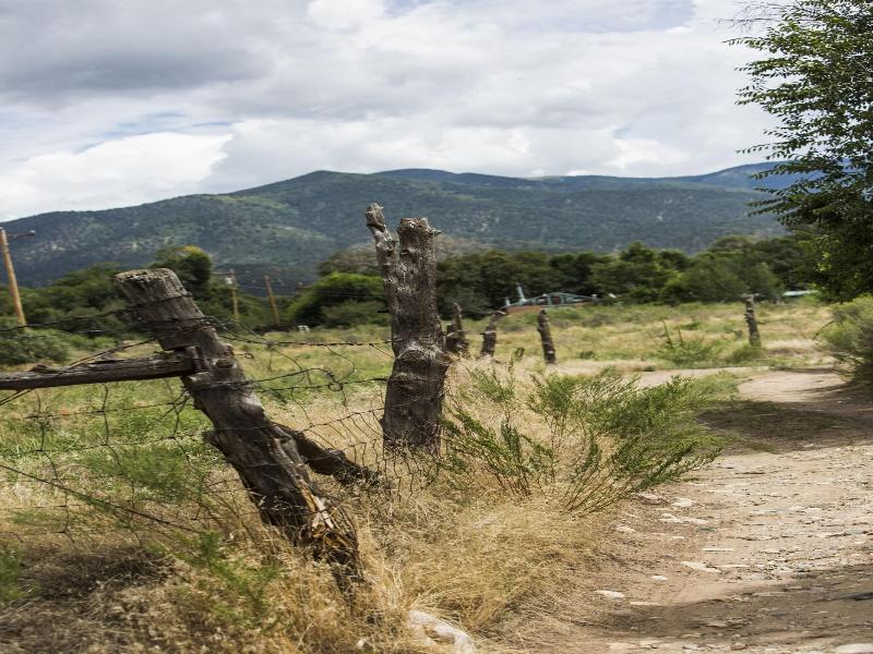 Taos Goji Farm & Eco-lodge Retreat