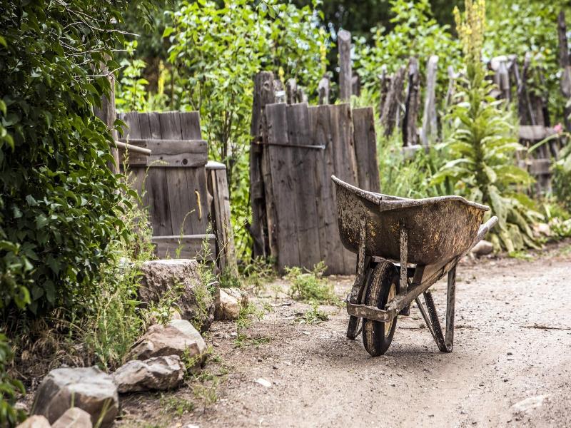 Taos Goji Farm & Eco-lodge Retreat