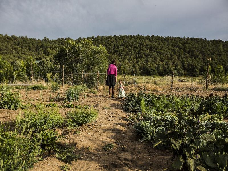 Taos Goji Farm & Eco-lodge Retreat