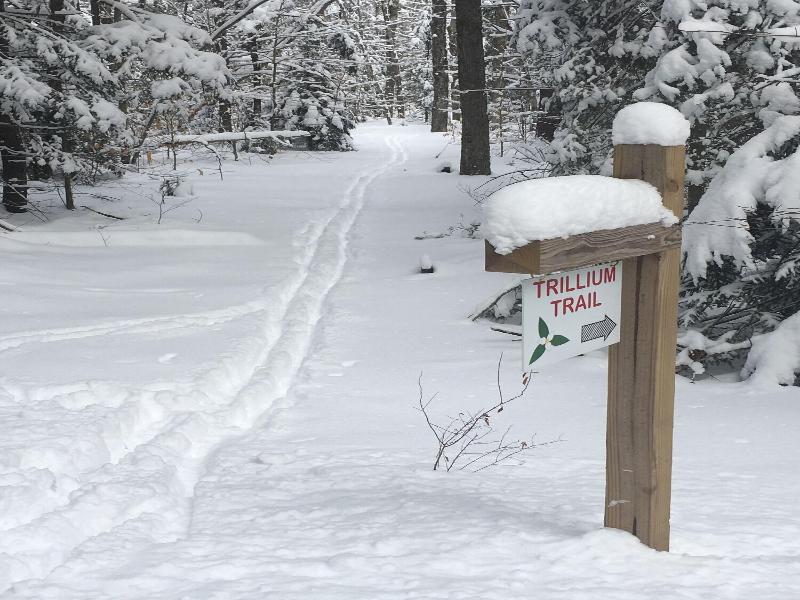 Robert Frost Mountain Cabins image