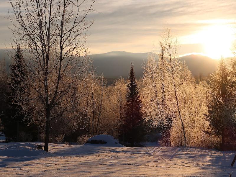 Robert Frost Mountain Cabins image