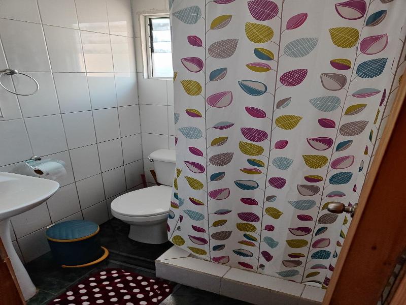 Alma Patagona Hostel Coyhaique image