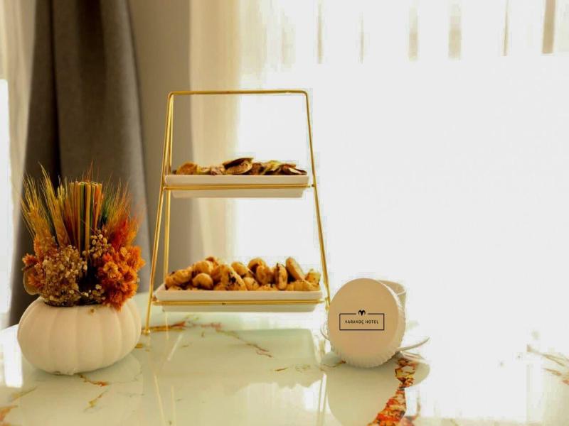 Karakoã‡ Hotel image