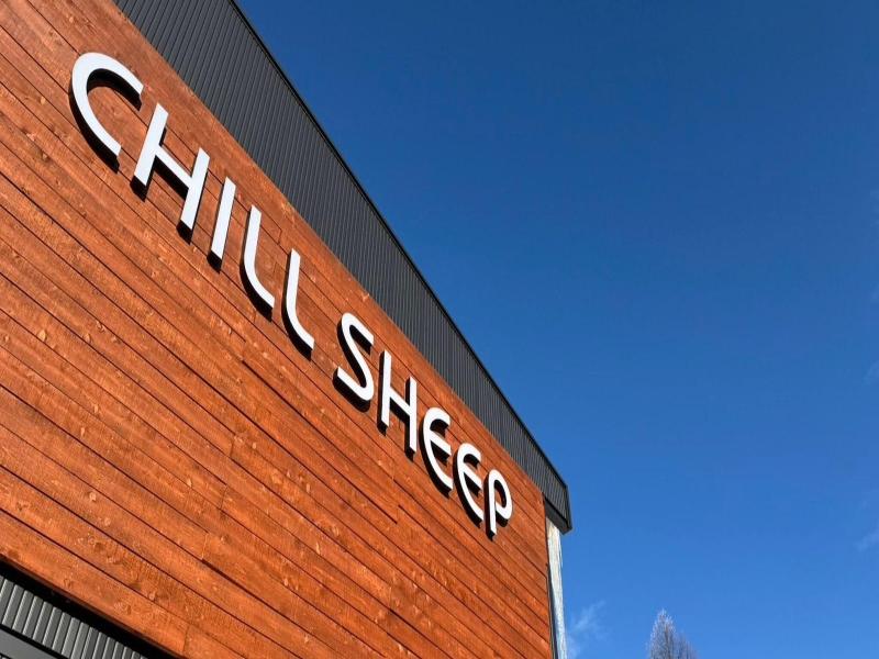 Chillsheep image