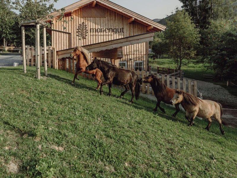 Mariengut - Aparthotel Kramer image