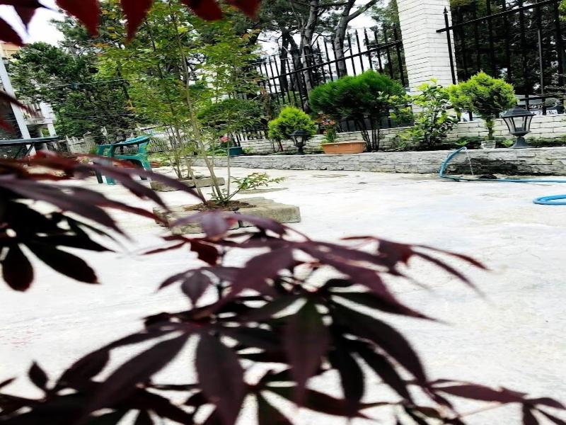 Hotel Gurya image