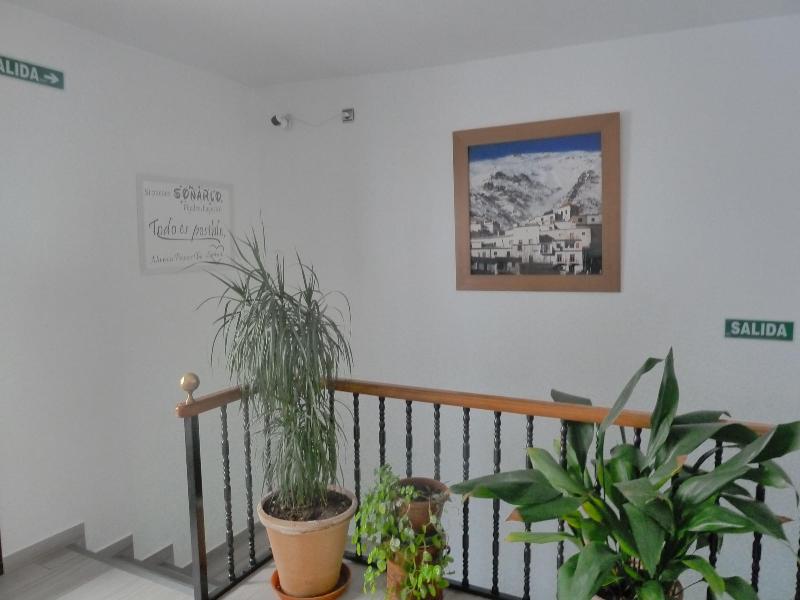 Hostal Y Apartamentos Casa Fermina image