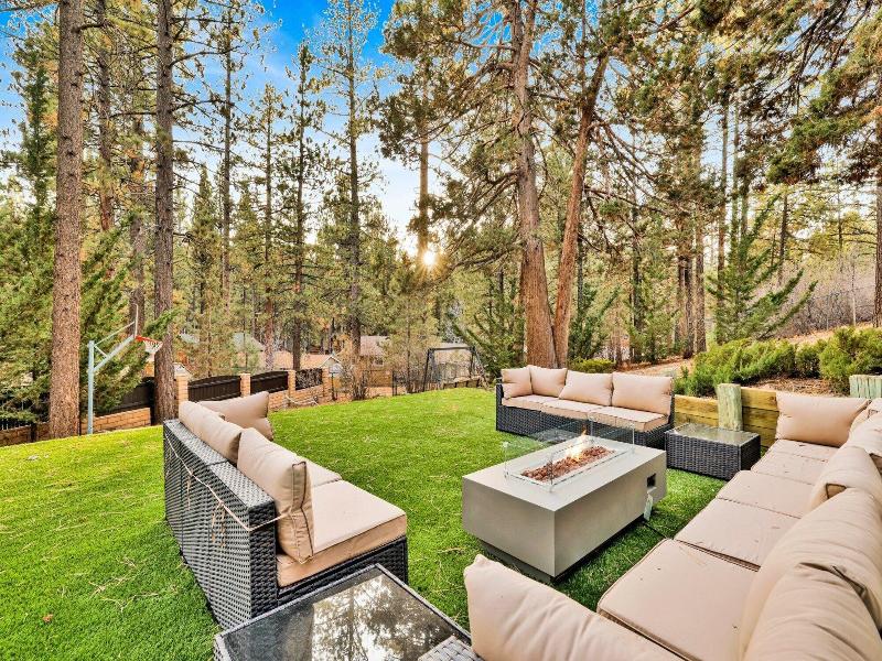 Soaring Pines #2193 image