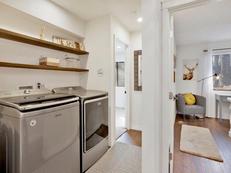 Soaring Pines #2193 image