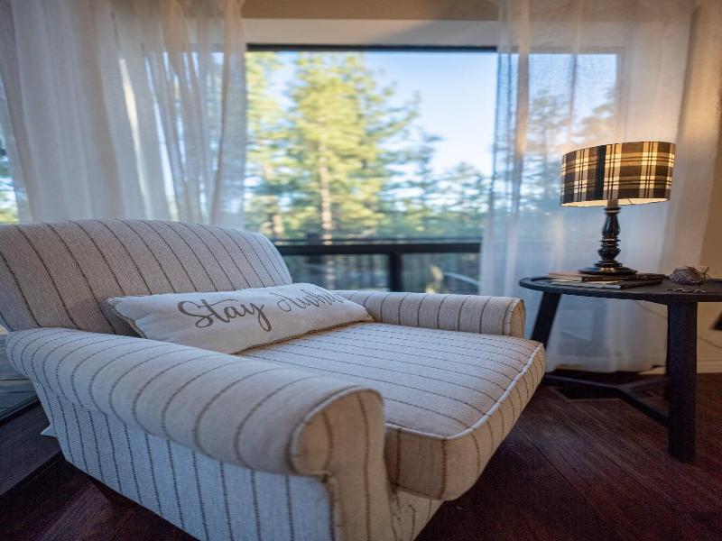 Soaring Pines #2193 image