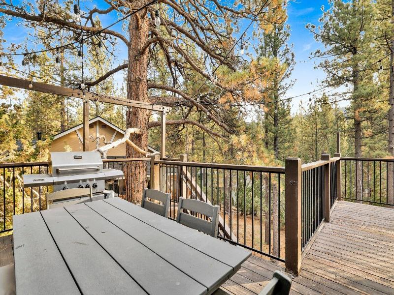 Soaring Pines #2193 image