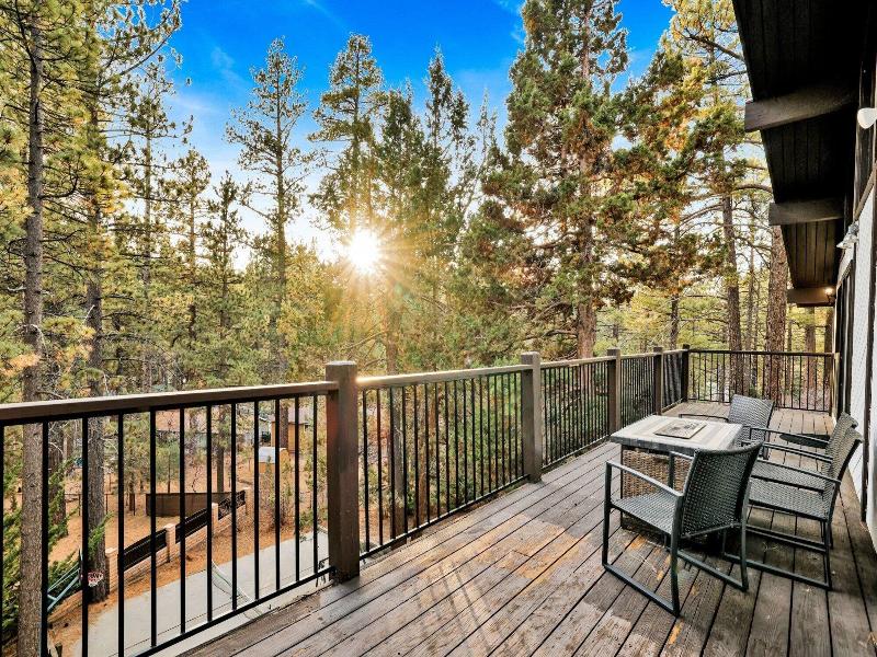 Soaring Pines #2193 image