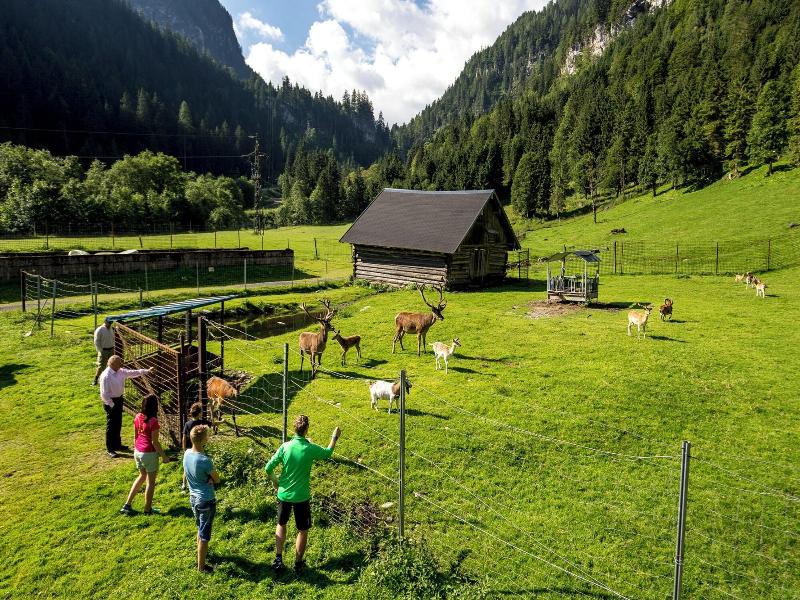 Holzlodge Deluxe image